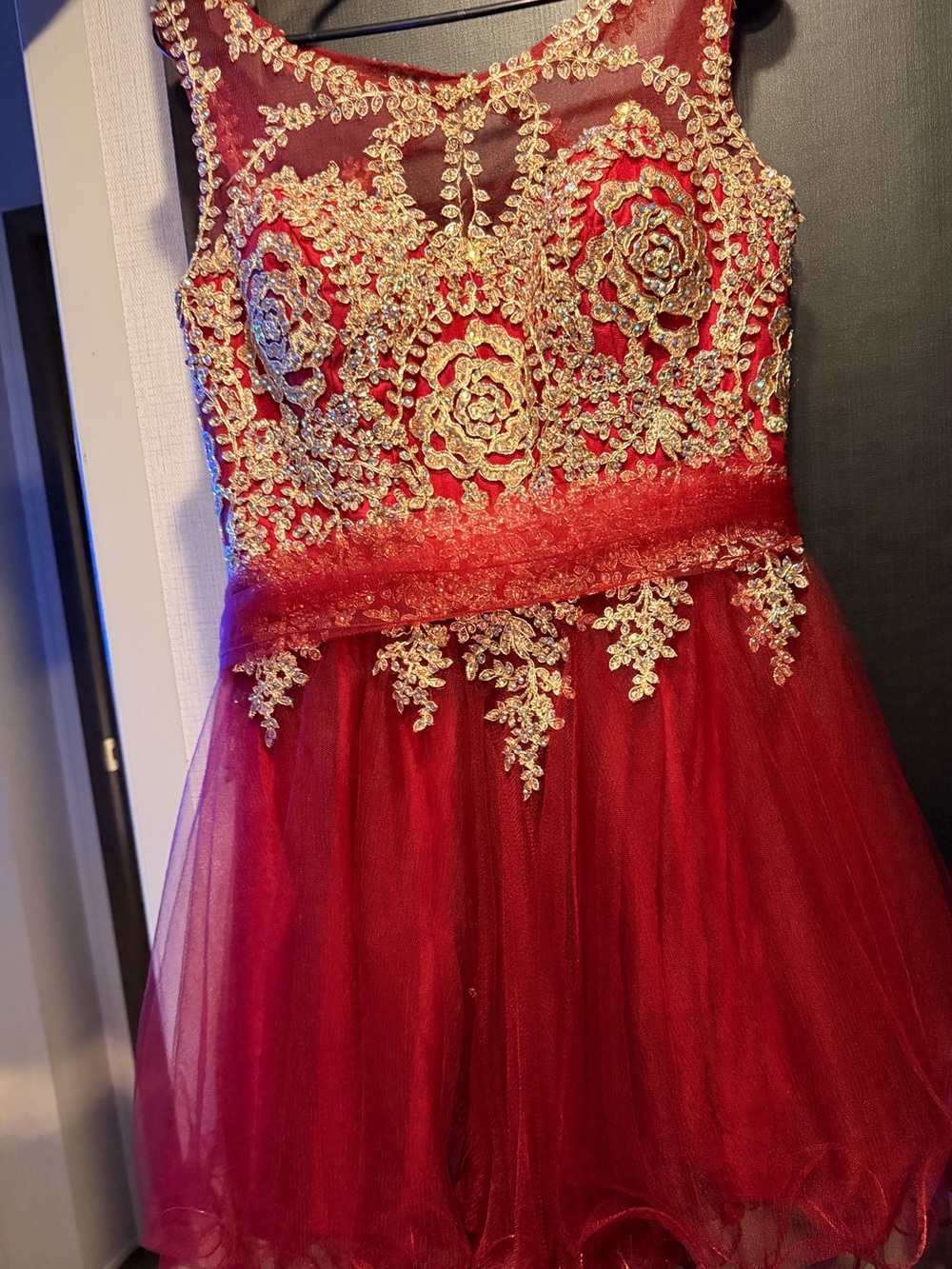 Embellished Red Mini Dress with Gold Appliqué